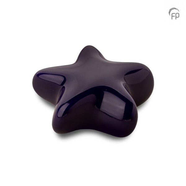 Keramische kunst urn keepsake Asteri