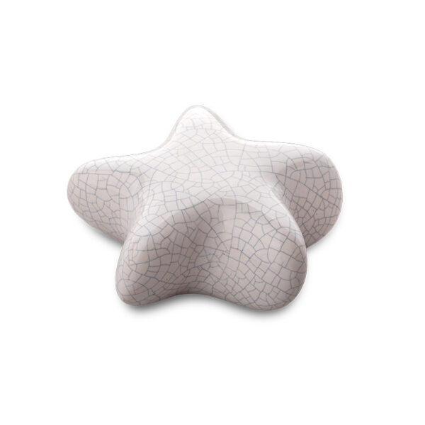 Keramische kunst urn keepsake Asteri